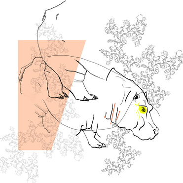 Design: Hippo destructuré, Un hippopotame complètement destructuré pour faire des coussins décalés !