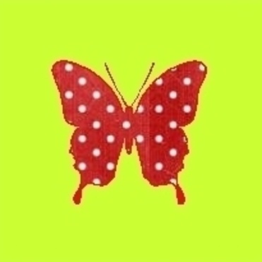 Design: Papillon aux petits pois, Papillon à pois sur fond uni