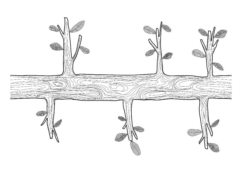 Design: Tree - Torchon 2, Torchon 2 de la série de "Tree" (Format 50x70cm / coupon)