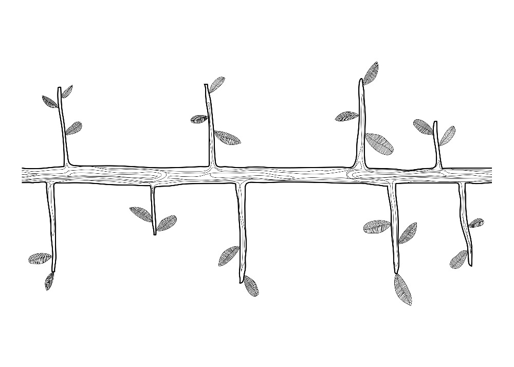 Design: Tree - Torchon 3, Torchon 3 de la série de "Tree" (Format 50x70cm / coupon)