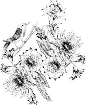 Design: L'oiseau boudeur... , L'oiseau boudeur, se cache parmi les fleurs...