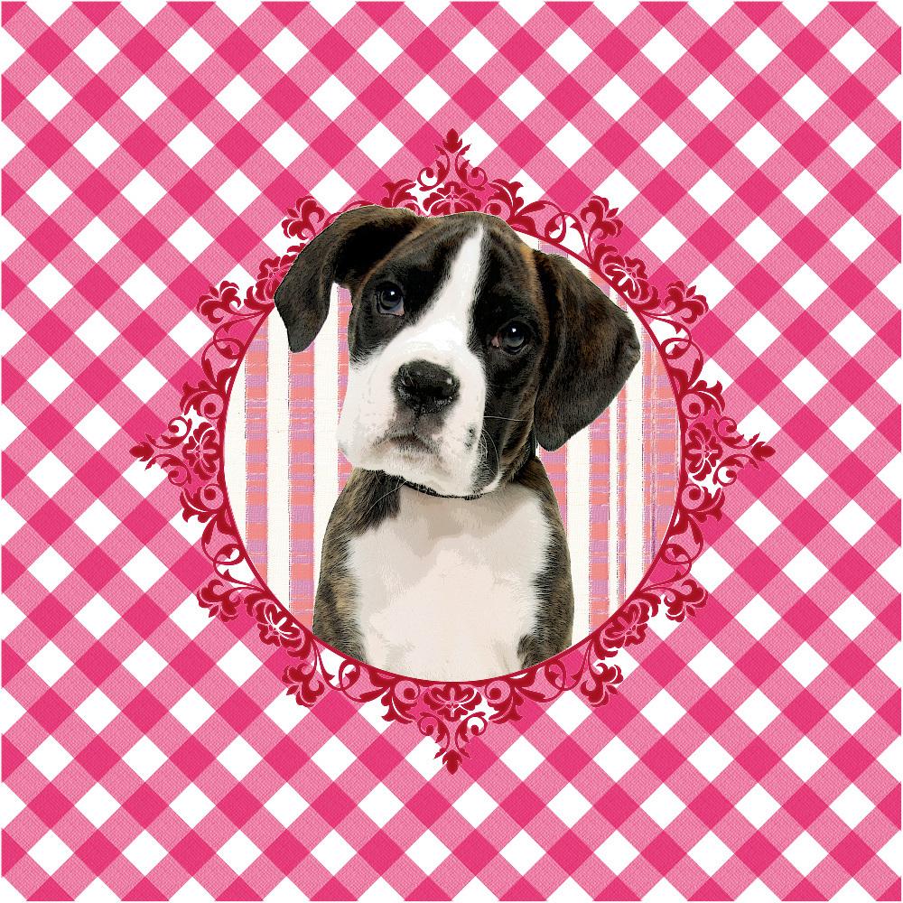 Design: coussin chien, 