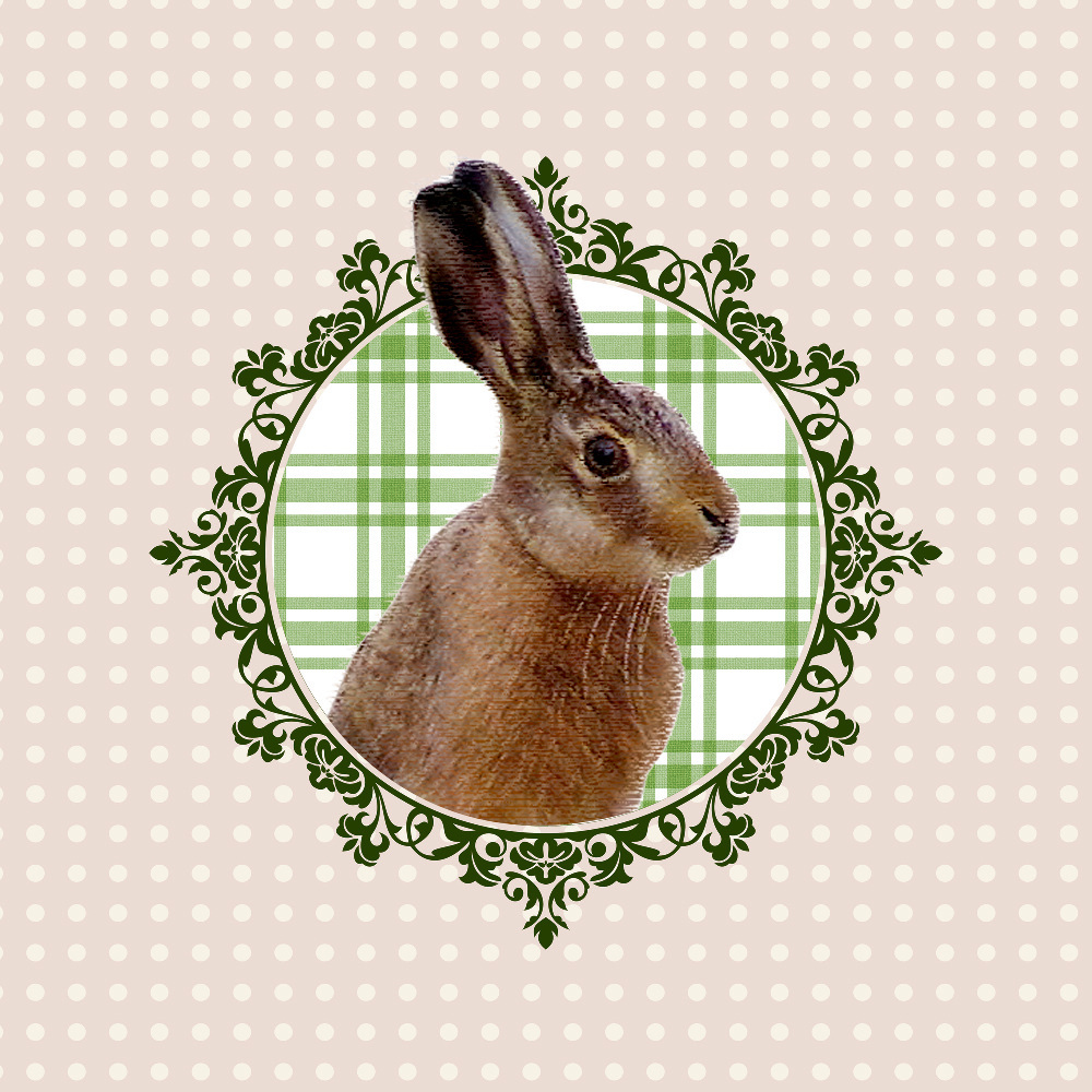 Design: coussin lapin, 