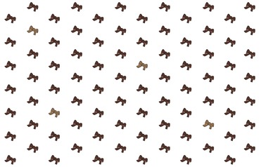 Design: Un Hiver à Genève, Collection "Les p'tits noeuds"