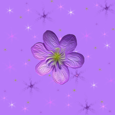 Design: fleur violette fond d'étoiles, 
