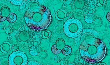 Design: Mystic River, Microcosme vert turquoise