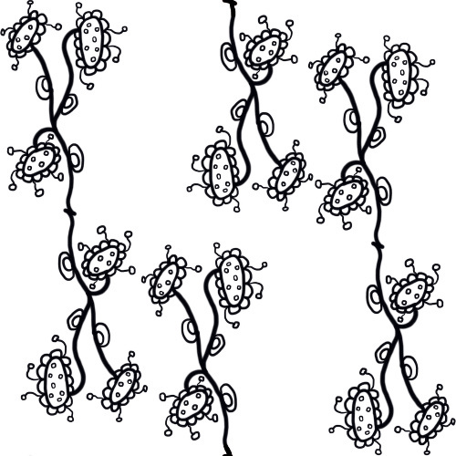 Design: Ezilda noir et blanc, 