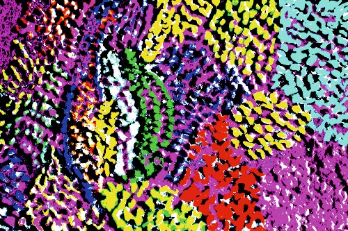 Design: Perroquet, sclulpture, oiseau, couleurs,