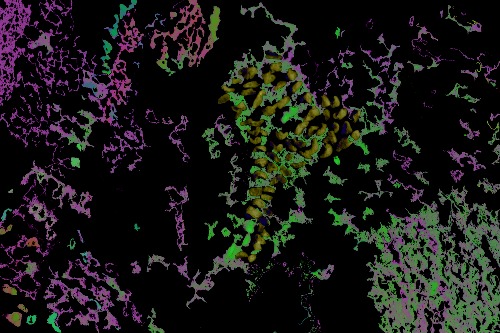 Design: Abysses colorées, 