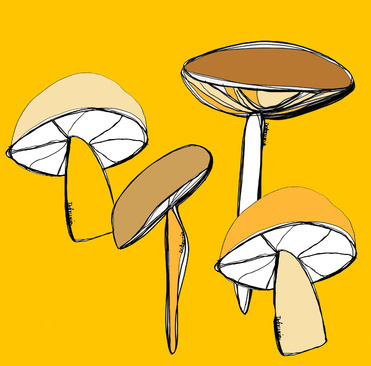 Design: yellow mushrooms, champignon sur un fond jaune