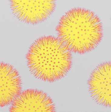 Design: Pom pom girl 4, Pom pom ! Pour un jour de fête ! Et si c'était tous les jours la fête ?