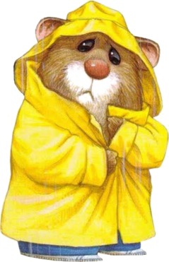 Design: marmotte imper jaune, 