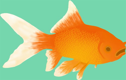 Design: Les petits poissons, Des petits poissons rouges sur un fonds vert d'eau. Un motif aux couleurs éclatantes pour l'été ou la maison. Motif réalisé pour le livre "Les Sacs et Tote Bags: 25 créations DIY".