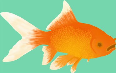 Design: Les petits poissons, Des petits poissons rouges sur un fonds vert d'eau. Un motif aux couleurs éclatantes pour l'été ou la maison. Motif réalisé pour le livre "Les Sacs et Tote Bags: 25 créations DIY".