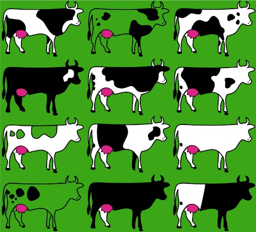 Design: vaches, défilé de vaches, pour les fans de cet animal qui rythme nos vies