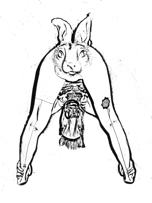 Design: Rabbithorse, 