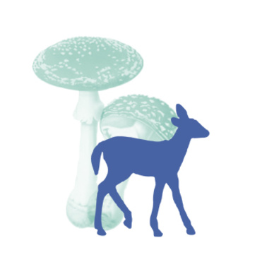 Design: La balade du faon, Un faon miniature se balade au milieu des champignons...
