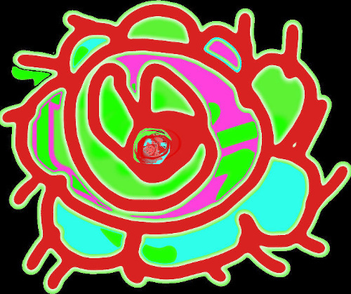 Design: camélia, desssin d'un camélia stylisé sur fond noir.