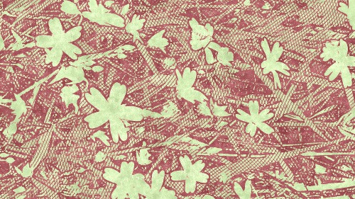 Design: fleurs comme dentelle, petites fleurs des champs. photo personnelle retravaillée.