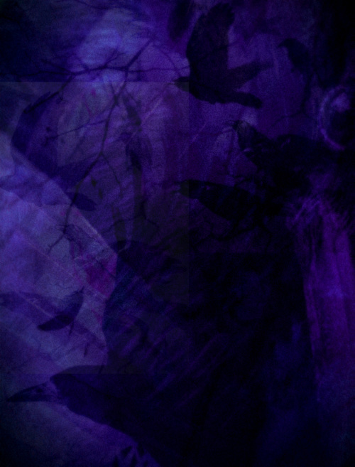 Design: corbeaux, corbeaux images